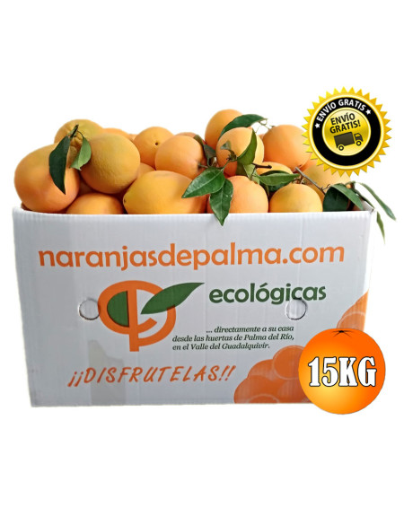 CAJA 15KG DE NARANJAS NAVELINAS MESA