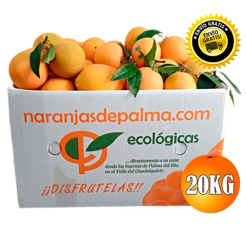 CAJA 20KG DE NARANJAS NAVELINAS MESA