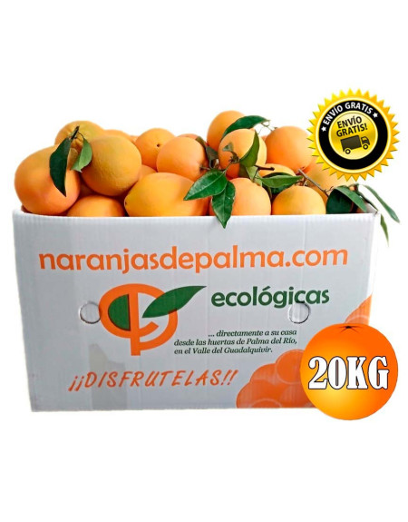 CAJA 20KG DE NARANJAS NAVELINAS MESA