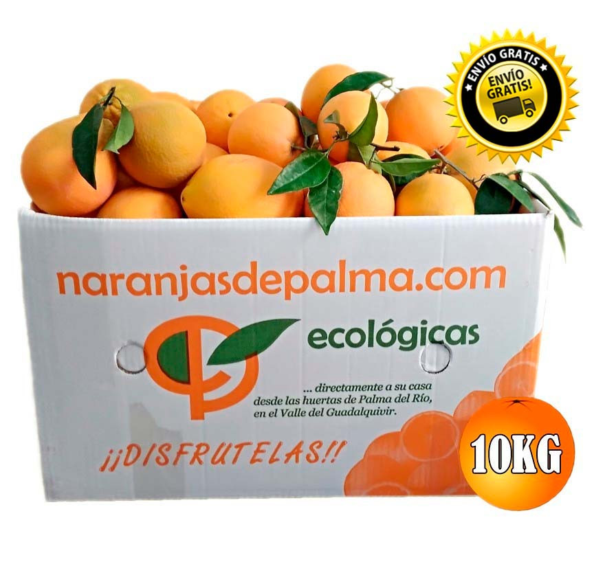 CAJA 10KG DE NARANJAS NAVELINAS MESA