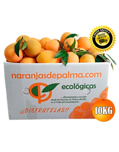 CAJA 10KG DE NARANJAS NAVELINAS MESA