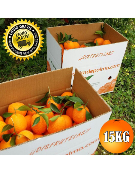 CAJA 15KG DE NARANJAS NAVE LATE DE MESA ECOLOGICAS