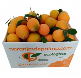 CAJA 10KG DE NARANJAS NAVELINAS MESA